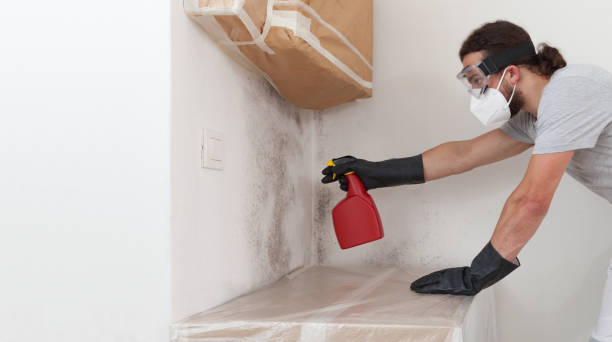 Professional Bathroom Mold Removal technician working in Dania, FL
