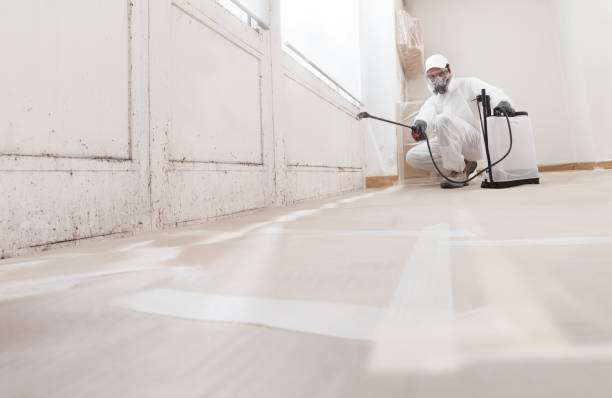 24/7 Emergency Bathroom Mold Removal experts in Dania, FL